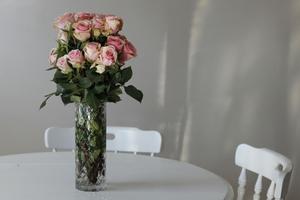 Elegante tricamere al piano terra Piovene