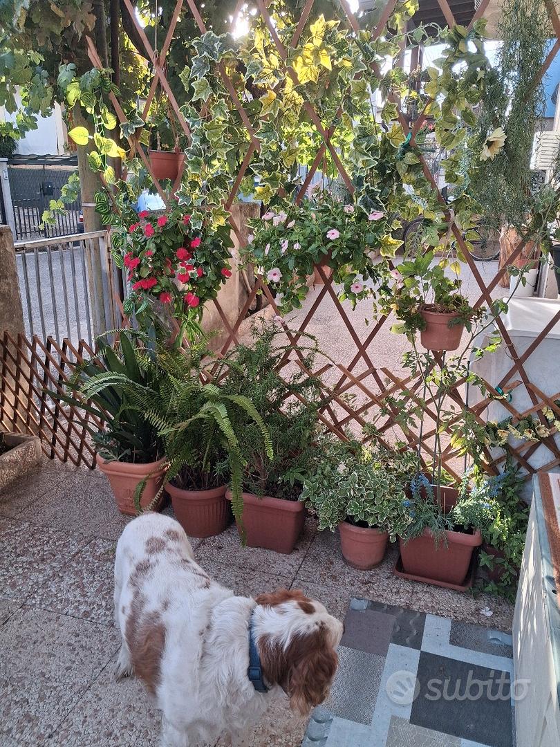 Appartamento – Tonara, Nuoro - Vista 5