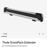 Porta sci Thule