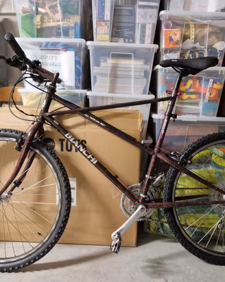 Bianchi Araneus MK4 Taglia 58