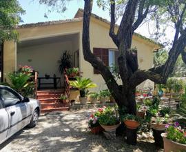 Casa indipendente nel verde