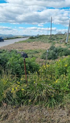 Terreno Agricolo In Zona Periferica