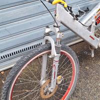 MTB Alluminio Biammortizzata