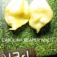 Carolina Reaper White, Red....Trinidad...