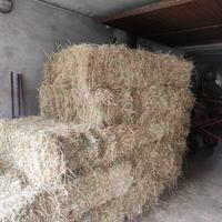 Fieno a ballette