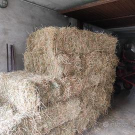 Fieno a ballette