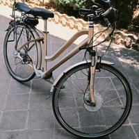 Bici elettrica FUTURA WAYEL Cambio Cardanico