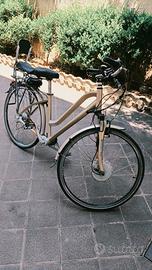 Bici elettrica FUTURA WAYEL Cambio Cardanico