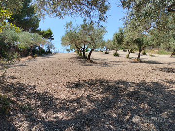 Terreno contrada San Michele