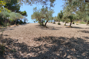 Terreno contrada San Michele