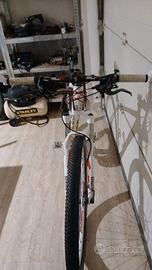 Mountainbike Raven sport
