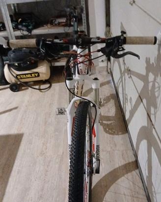 Mountainbike Raven sport
