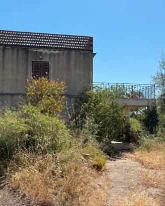 Campagna a Pietraperzia