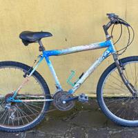 Bicicletta