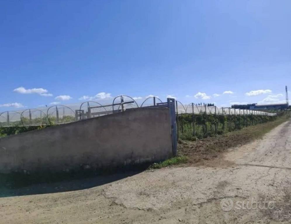 Immobile in asta di 35652 m² a Licodia Eubea - Vista 4