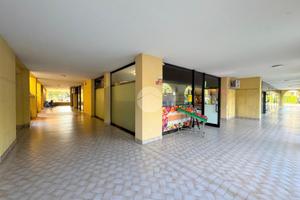 NEGOZIO A RONCADELLE