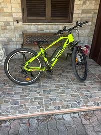 Bici elettrica Aurelia