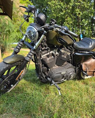 Harley Davidson Sportster 883 Iron