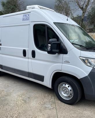 Fiat Ducato Isotermico #2371