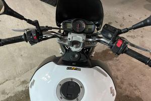 Suzuki GSR 600 2007. Buone cond. unico prop