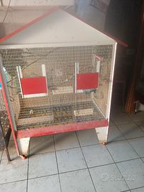voliera per uccelli 