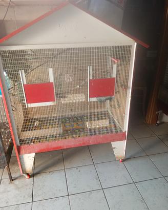 voliera per uccelli 
