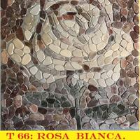 Ciottoli di fiume, ROSA BIANCA ...