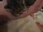 Immagine 3