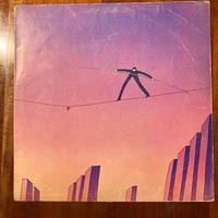 Vinile anima di Riccardo Cocciante