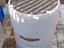 Immagine 3