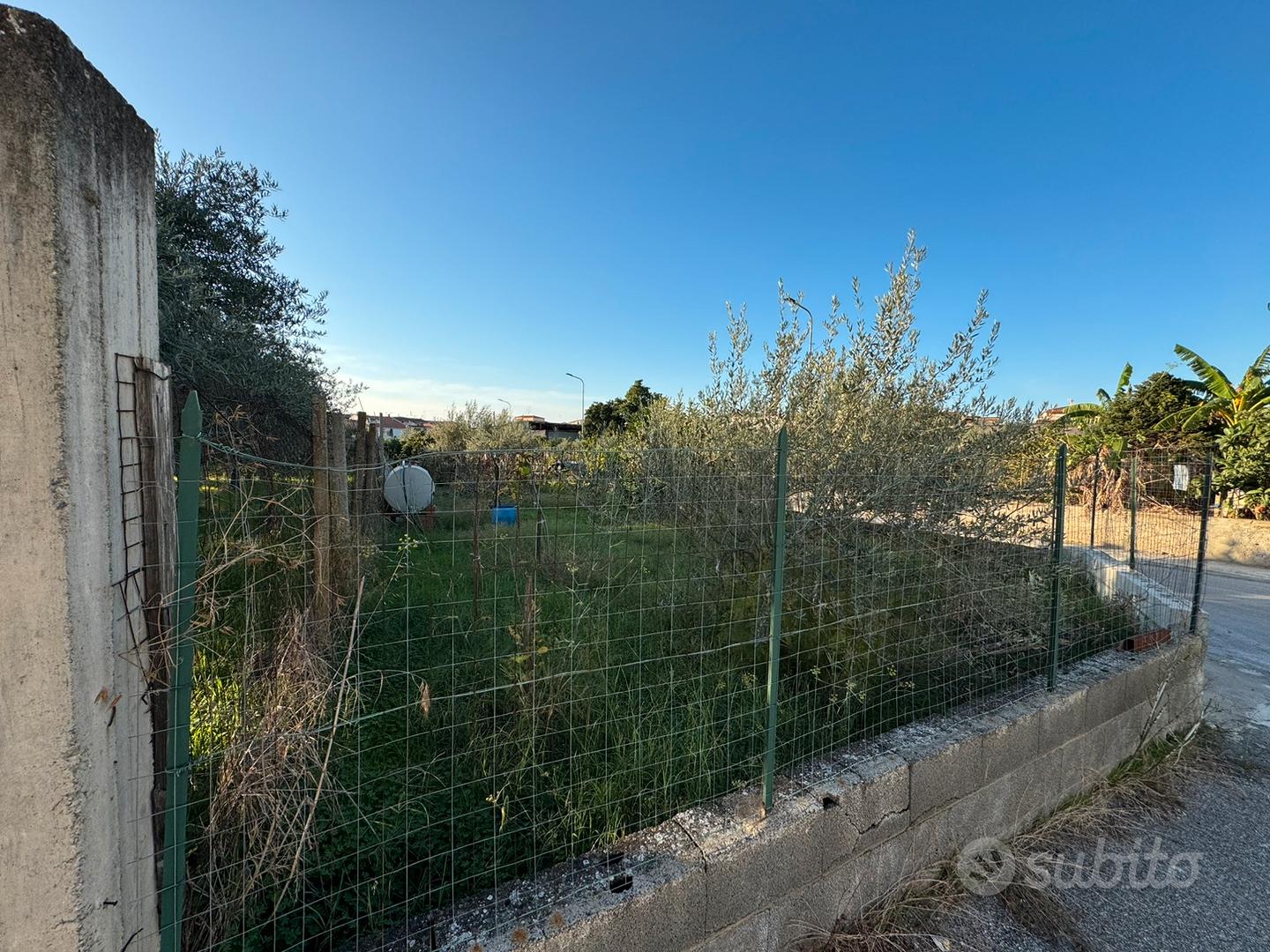 Terreno (1000m) e rustico su due piani (50m) - Vista 5