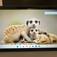 Tablet notebook pc Lenovo Duet 3 10iGL5-LTE win 11