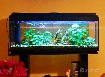 Acquario con mobiletto e accessori