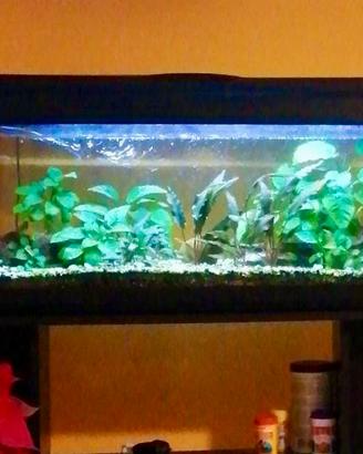 Acquario con mobiletto e accessori
