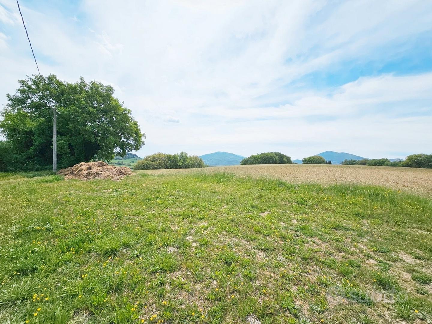 Terreno di mq 3500- Possibilità di edificare T/156 - Vista 6