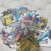 card album panini 2024/2025