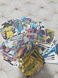 card album panini 2024/2025