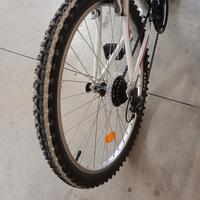 MTB ESPERIA 26