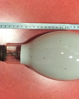 Lampada a incandescenza 500w