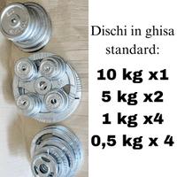 Dischi in ghisa per palestra - Foro standard