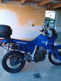 Honda Dominator