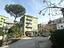 Immagine 7