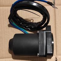 Motorino trim Yamaha F150 dal 2011 in poi