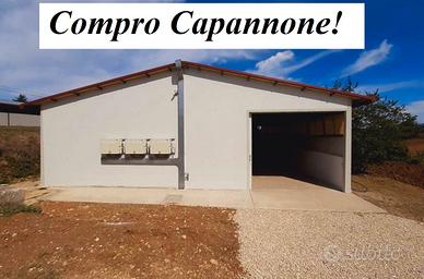 Capannone zona codroipo