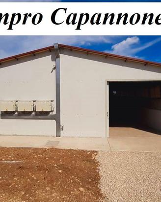 Capannone zona codroipo