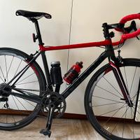 Cervelo carbonio