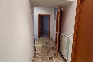 Stanza Frosinone centro