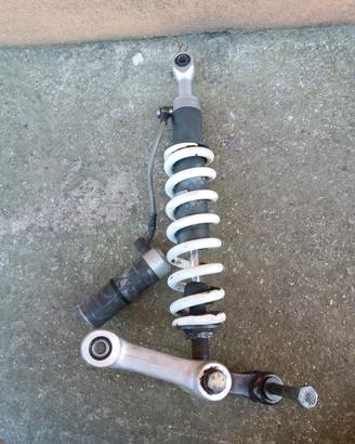 ammortizzatore posteriore gas Paioli