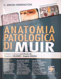 Anatomia Patologica di MUIR