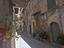 Immagine 14